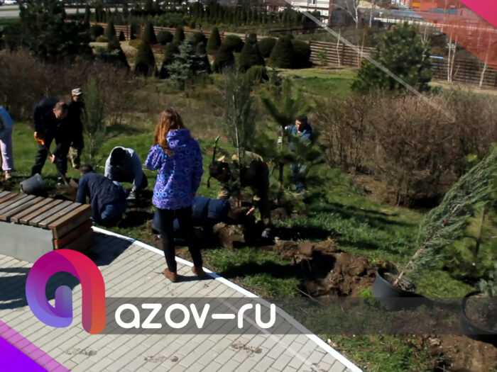 В Азовском районе посадили 5 тысяч деревьев