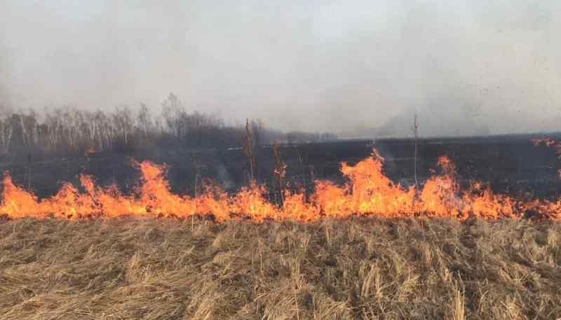 В Азовском районе ожидается чрезвычайная пожароопасность 7 июня