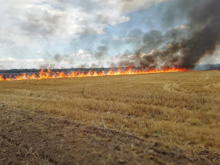 Выжигание стерни может стать причиной ландшафтных пожаров