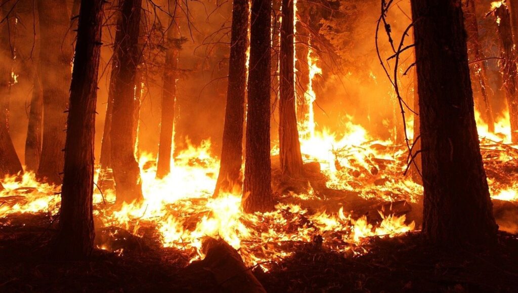 Штормовое предупреждение в Ростовской области из-за угрозы пожаров