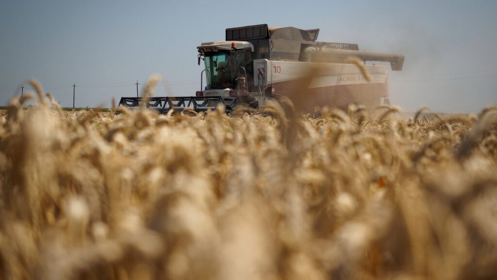 В Азовском районе рекордный урожай зерна