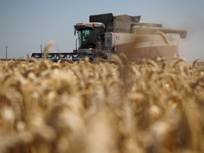 В Азовском районе рекордный урожай зерна