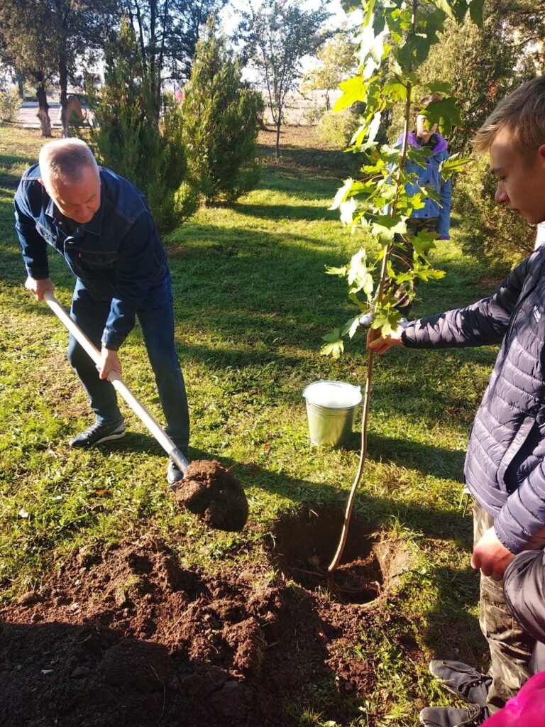 В казачьем техникуме высадили 50 деревьев
