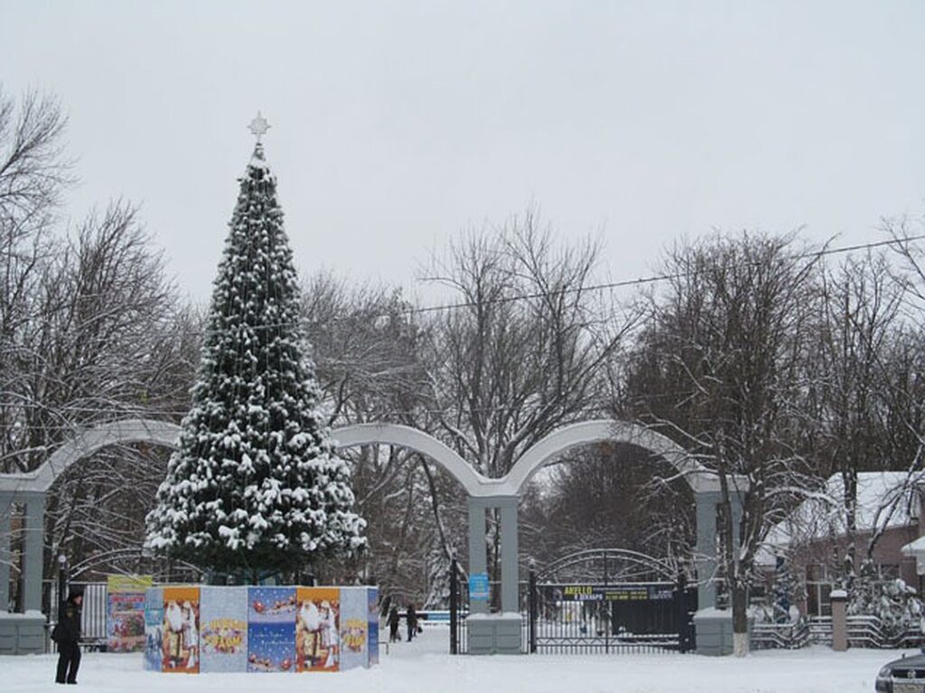 В Азове установят 20-метровую новогоднюю елку