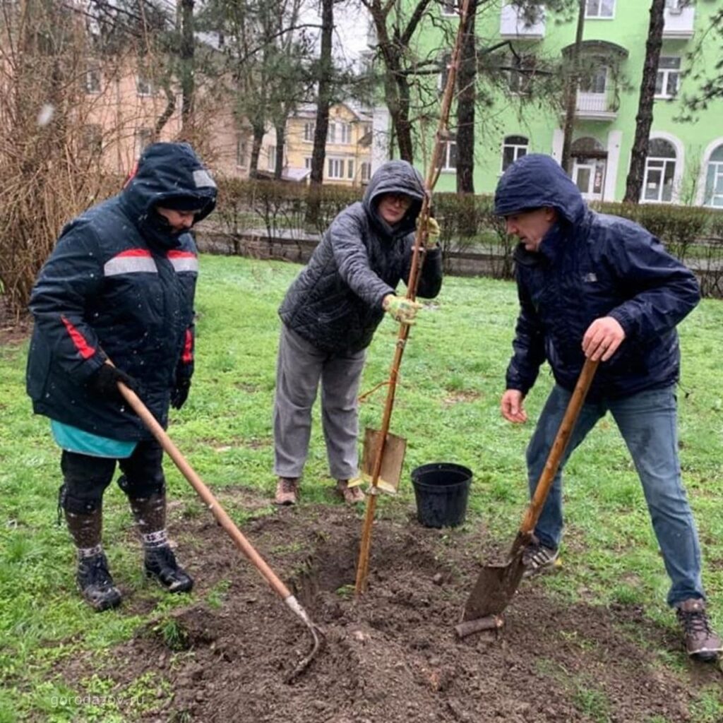 Азовчане высадили деревья в сквере “Березка”