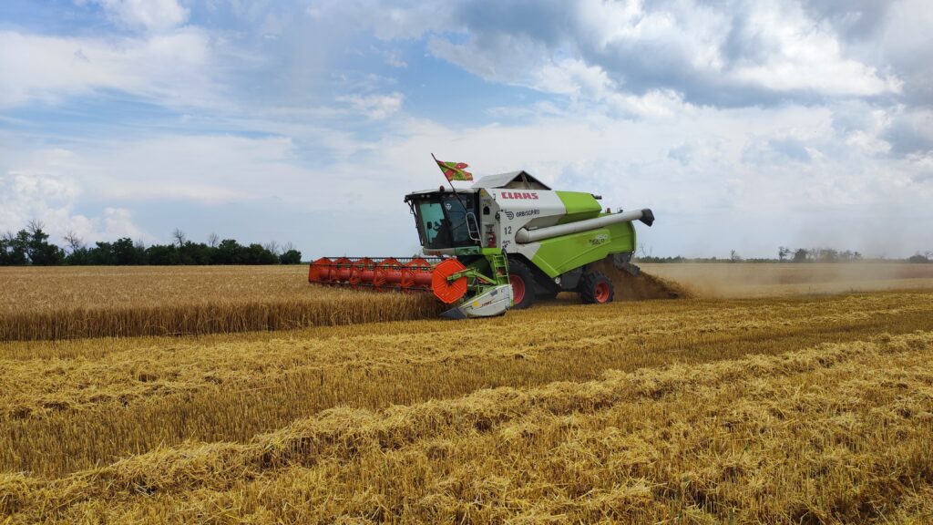 Урожайность в Азовском районе снова бьет рекорды