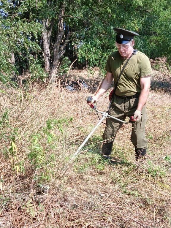 В Азовском районе уничтожено более 2 тыс кг наркосодержащих растений