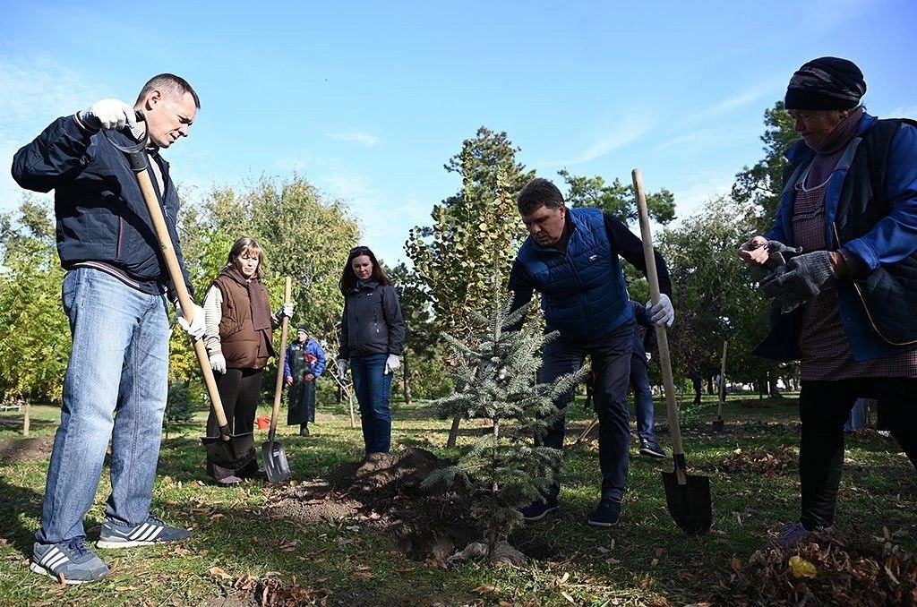 В Азове в парке Памяти посадили ели и березы